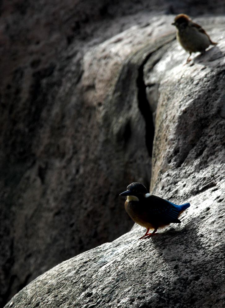 DSC_0026.JPG