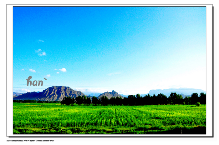 DSC_6094x.jpg