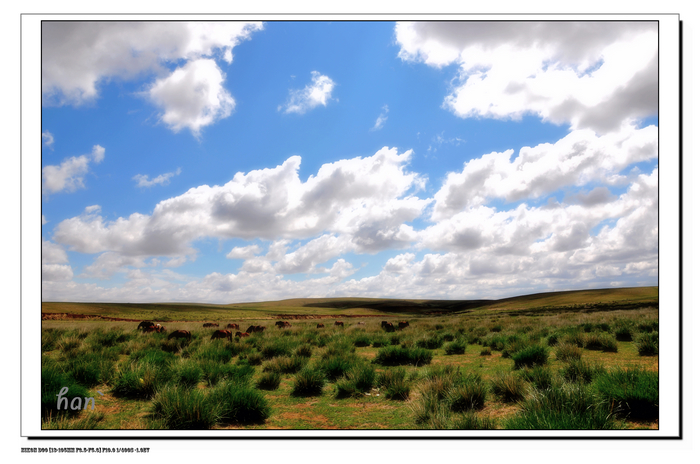 DSC_6223x.jpg