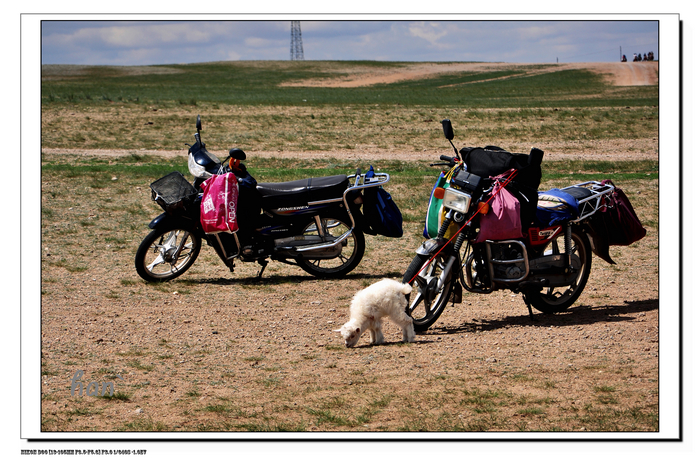 DSC_6238x.jpg