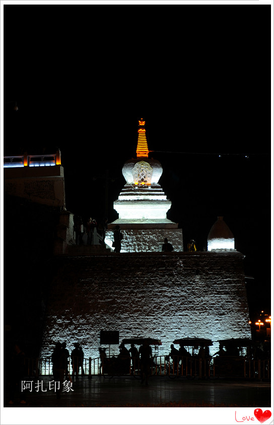 DSC_2575_副本.jpg
