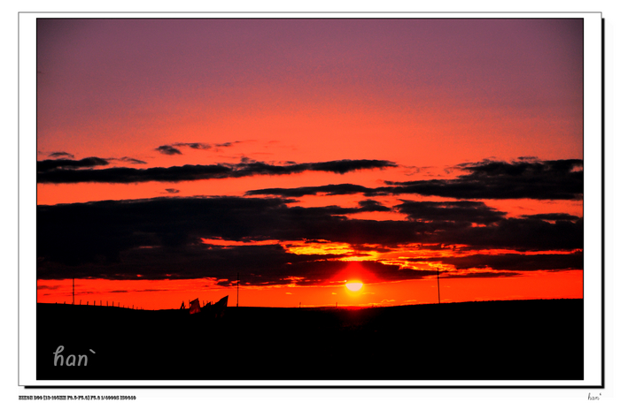 DSC_6681x.jpg