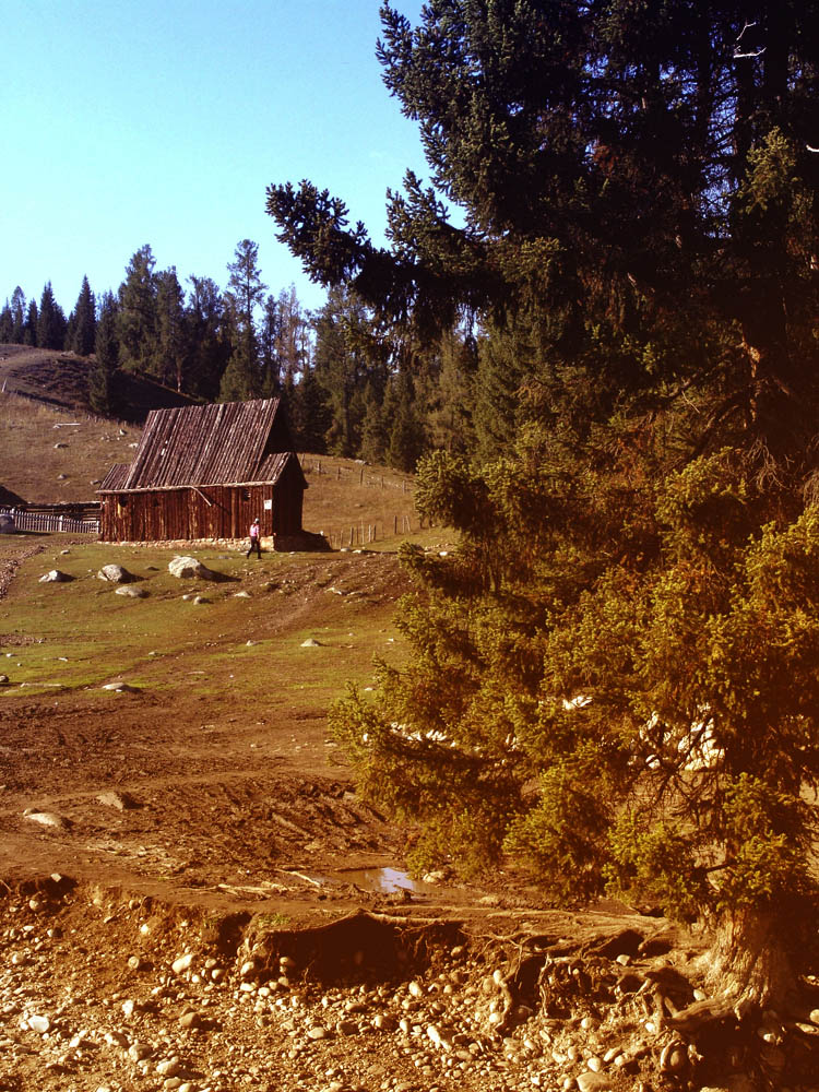 04.JPG