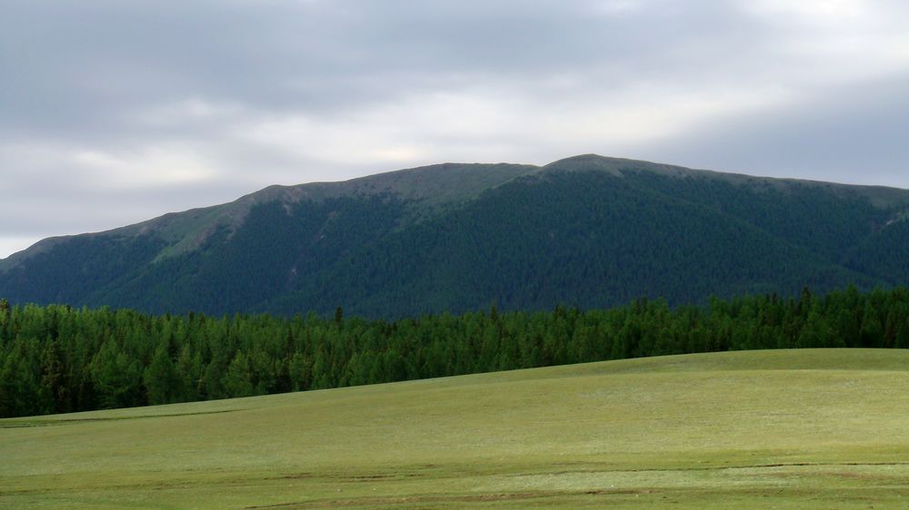 DSC07788.JPG