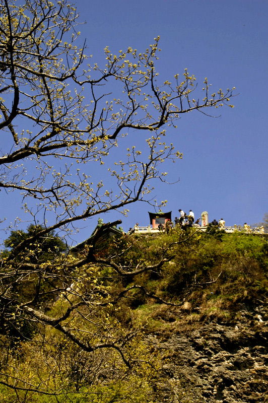 08.jpg