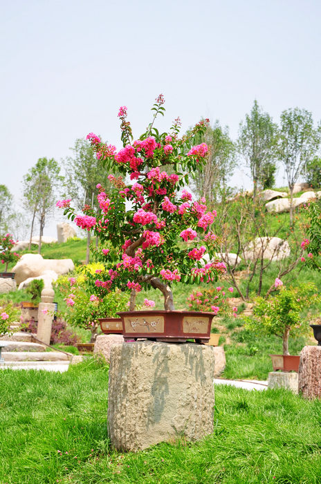 nEO_IMG_DSC_0027.jpg