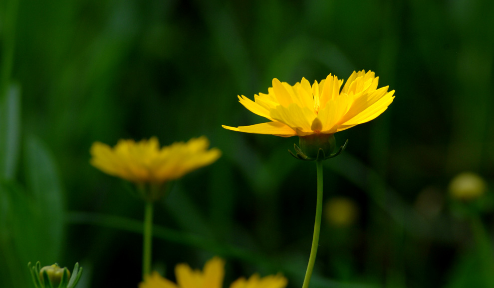 DSC_0089.JPG