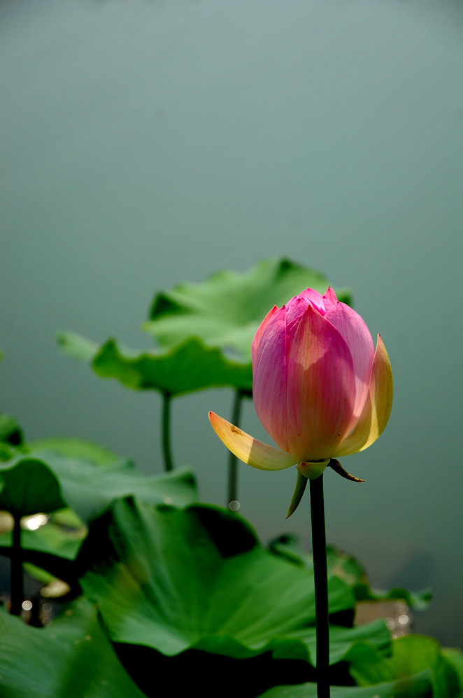 DSC_0151.JPG