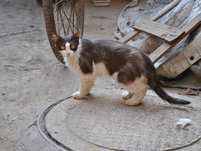 DSC_0151.jpg