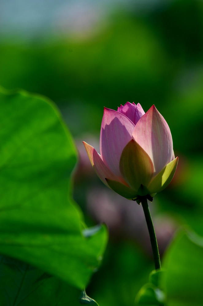 DSC_0027.JPG