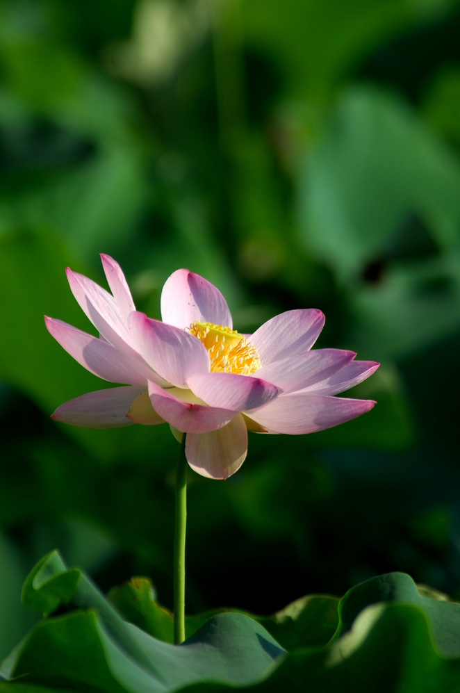 DSC_0034.JPG