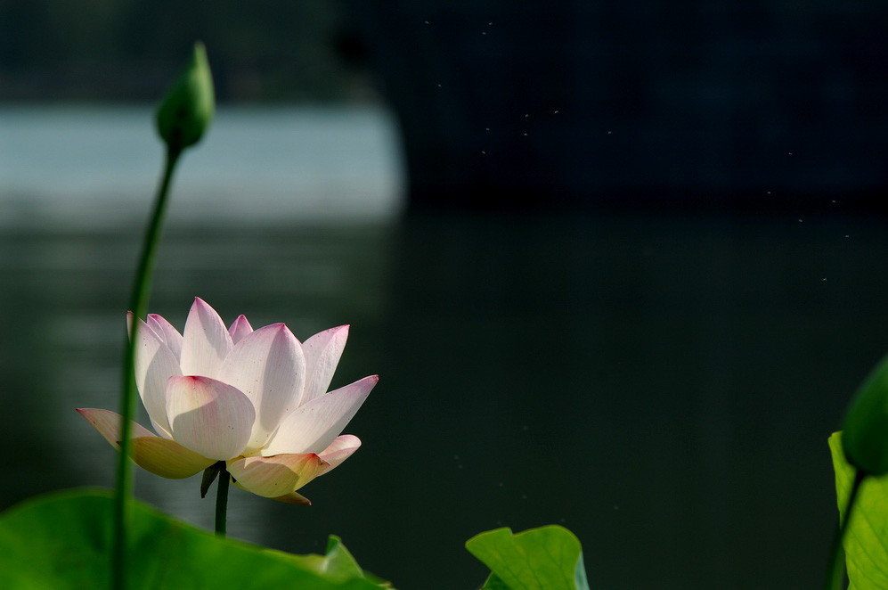 DSC_0146.JPG