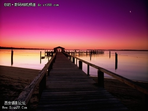 d9279b5ce01b24a8.jpg