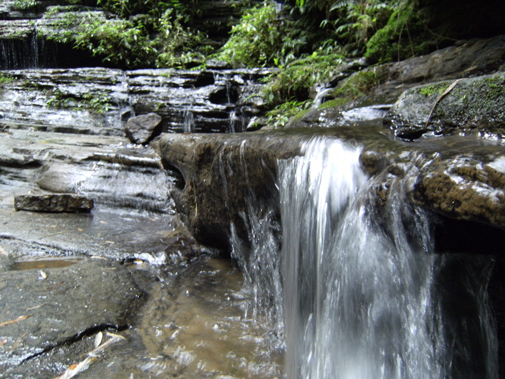 DSCF0102.jpg