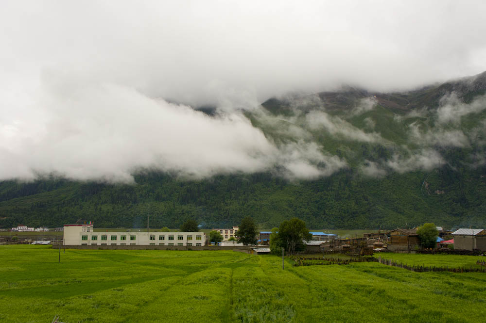 DSC05229-2.jpg