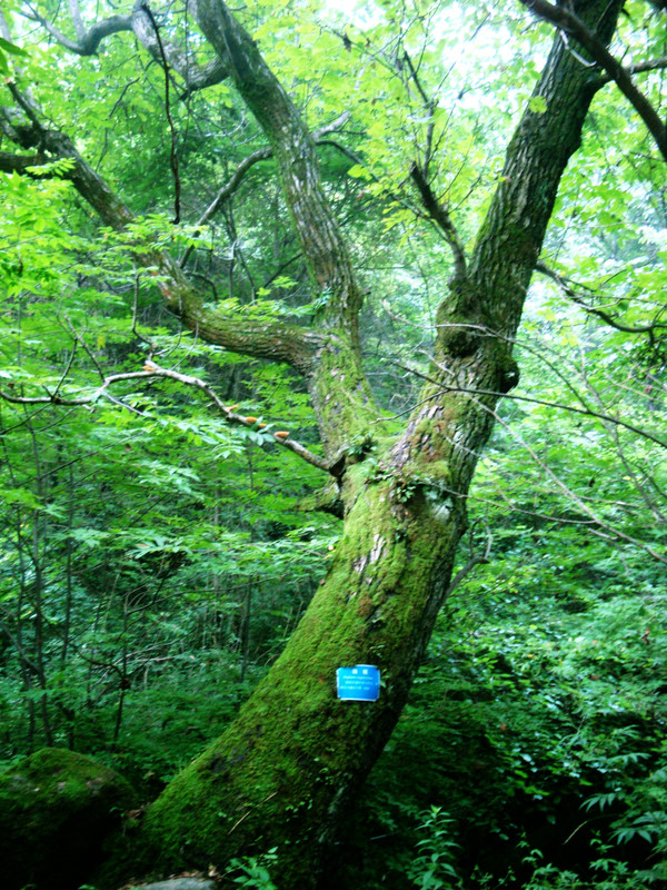 p_large_Usvt_187d0007edf55c70.jpg