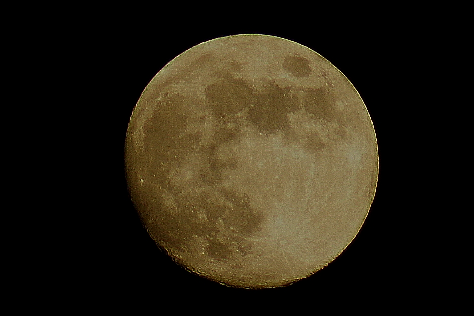 DSC02495.JPG