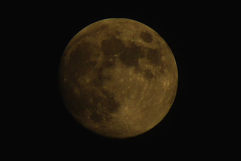 DSC02505.JPG