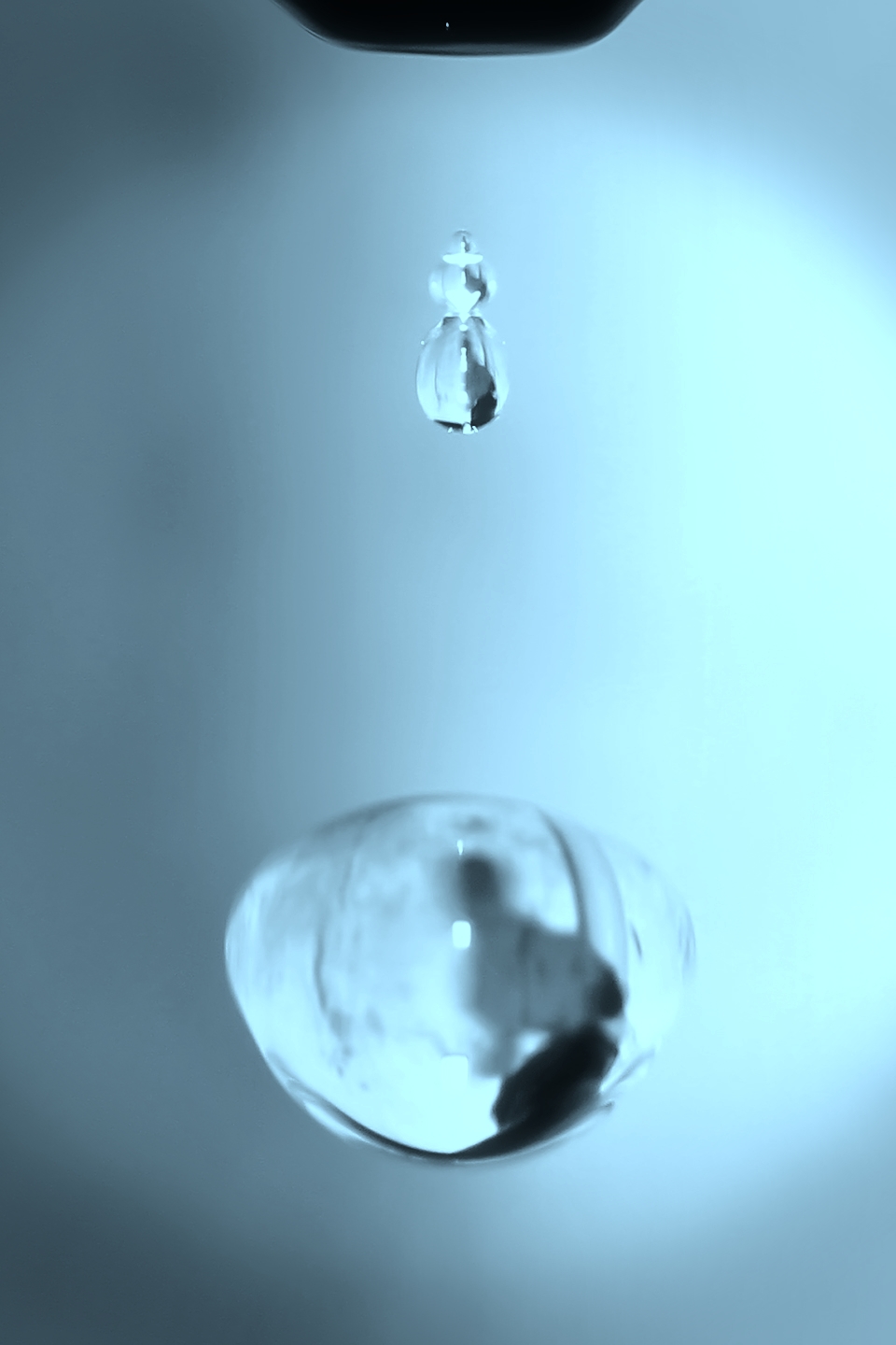 IMG_1647_out.JPG