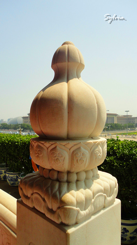 DSC09067_副本.jpg