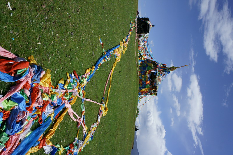 DSC04996_调整大小.JPG