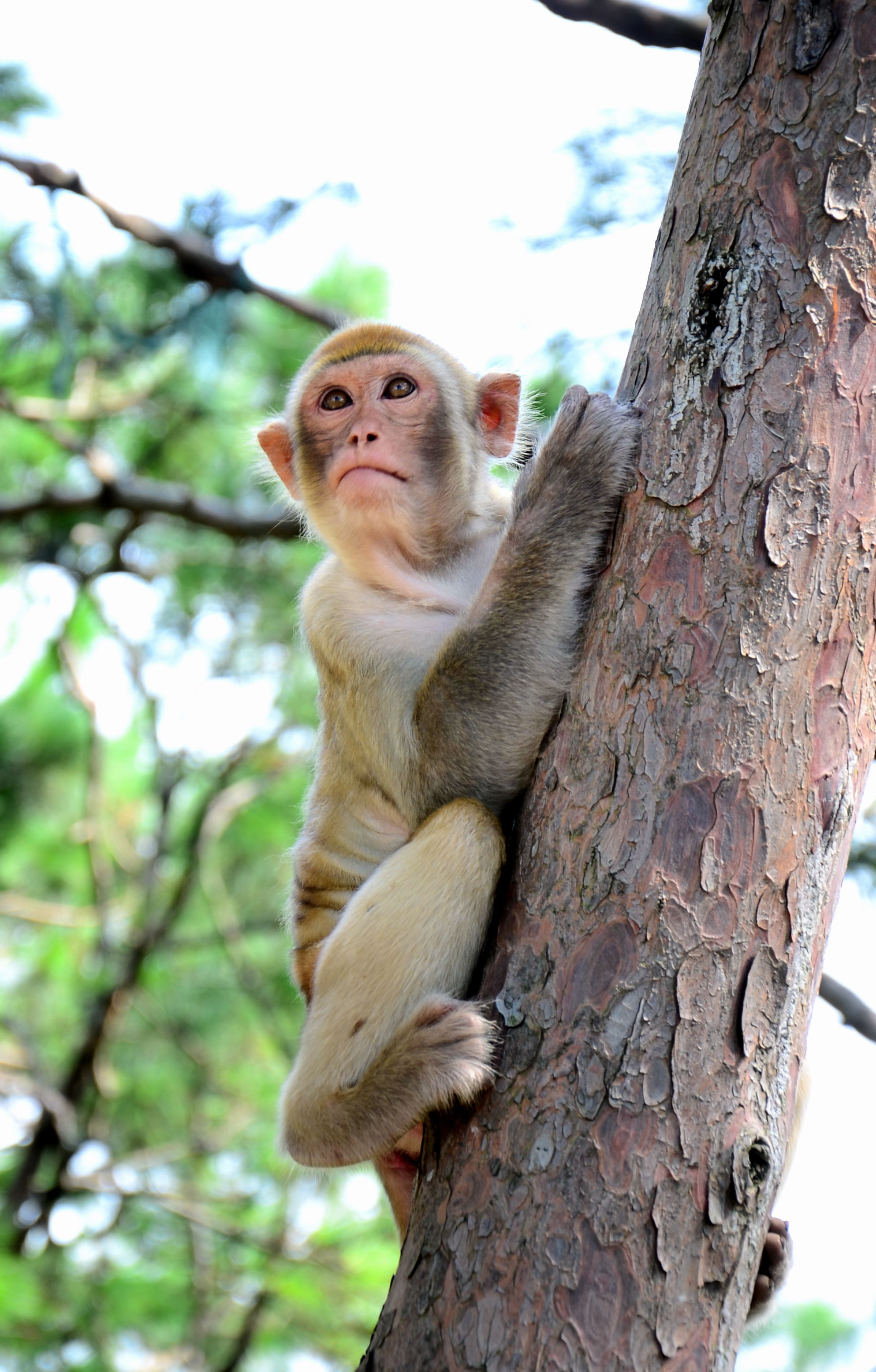DSC_0636.jpg