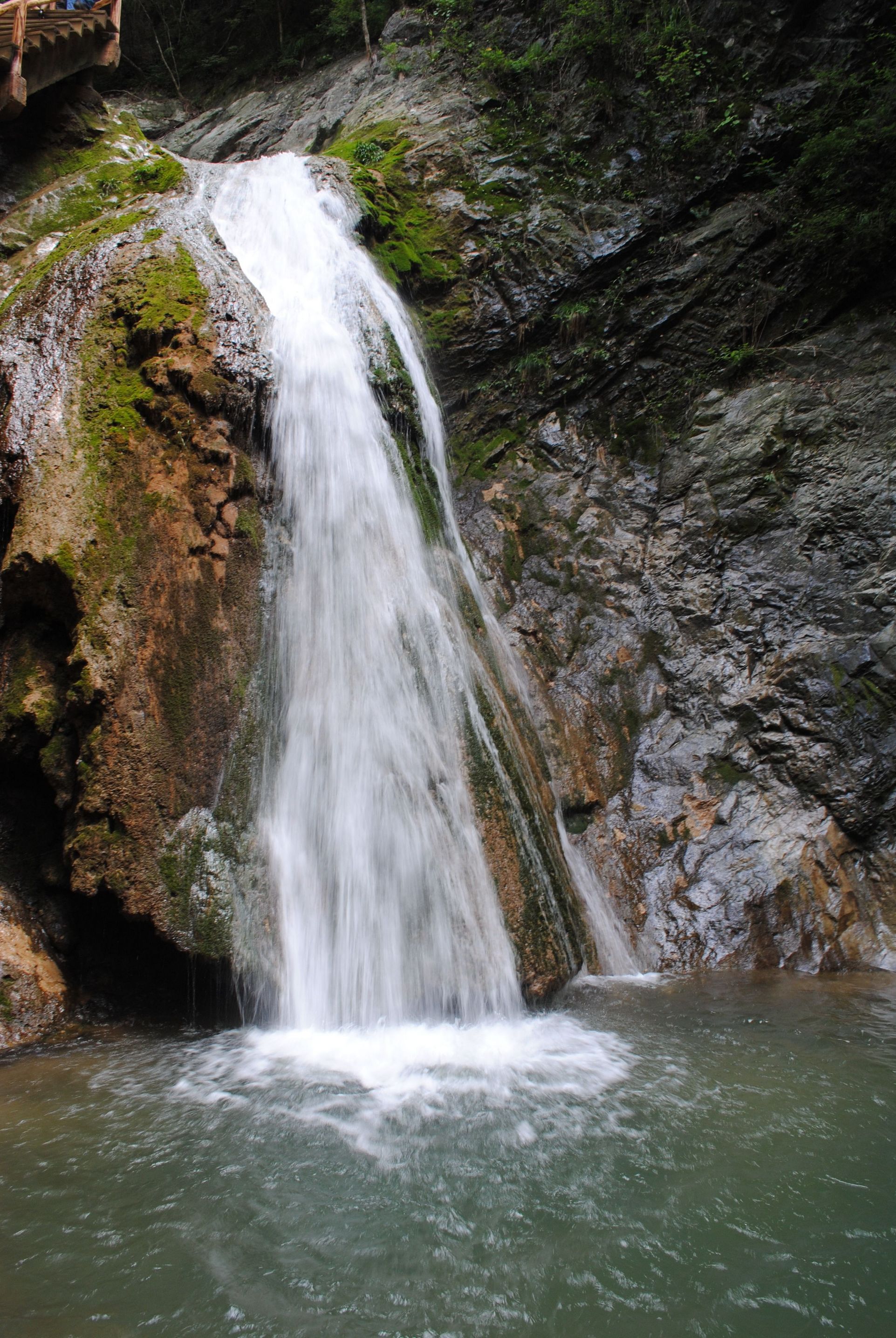 DSC_7407.jpg