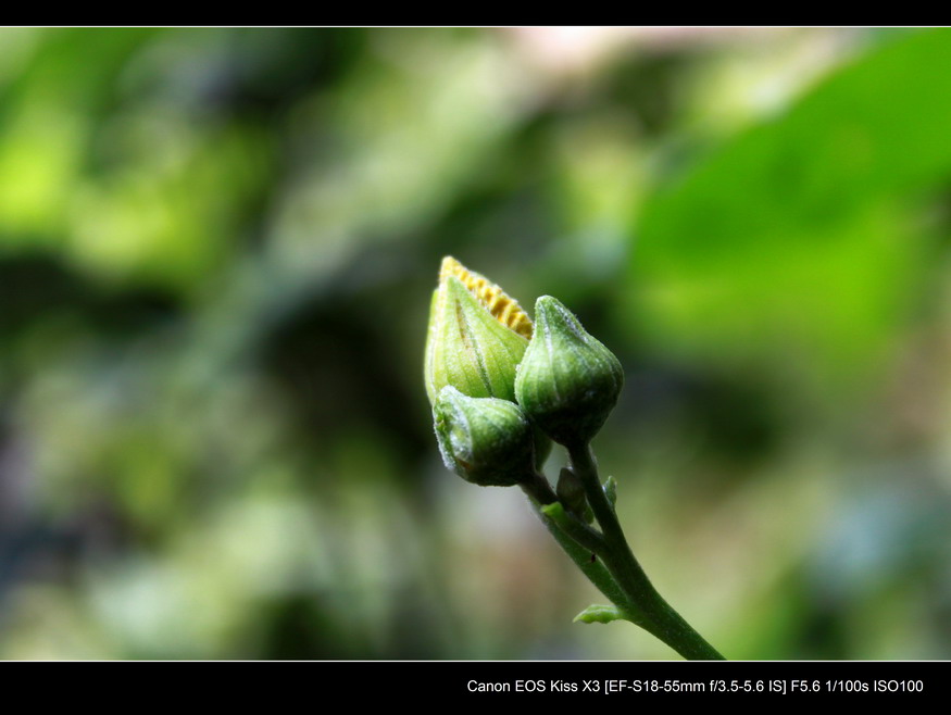 IMG_0265_调整大小.JPG