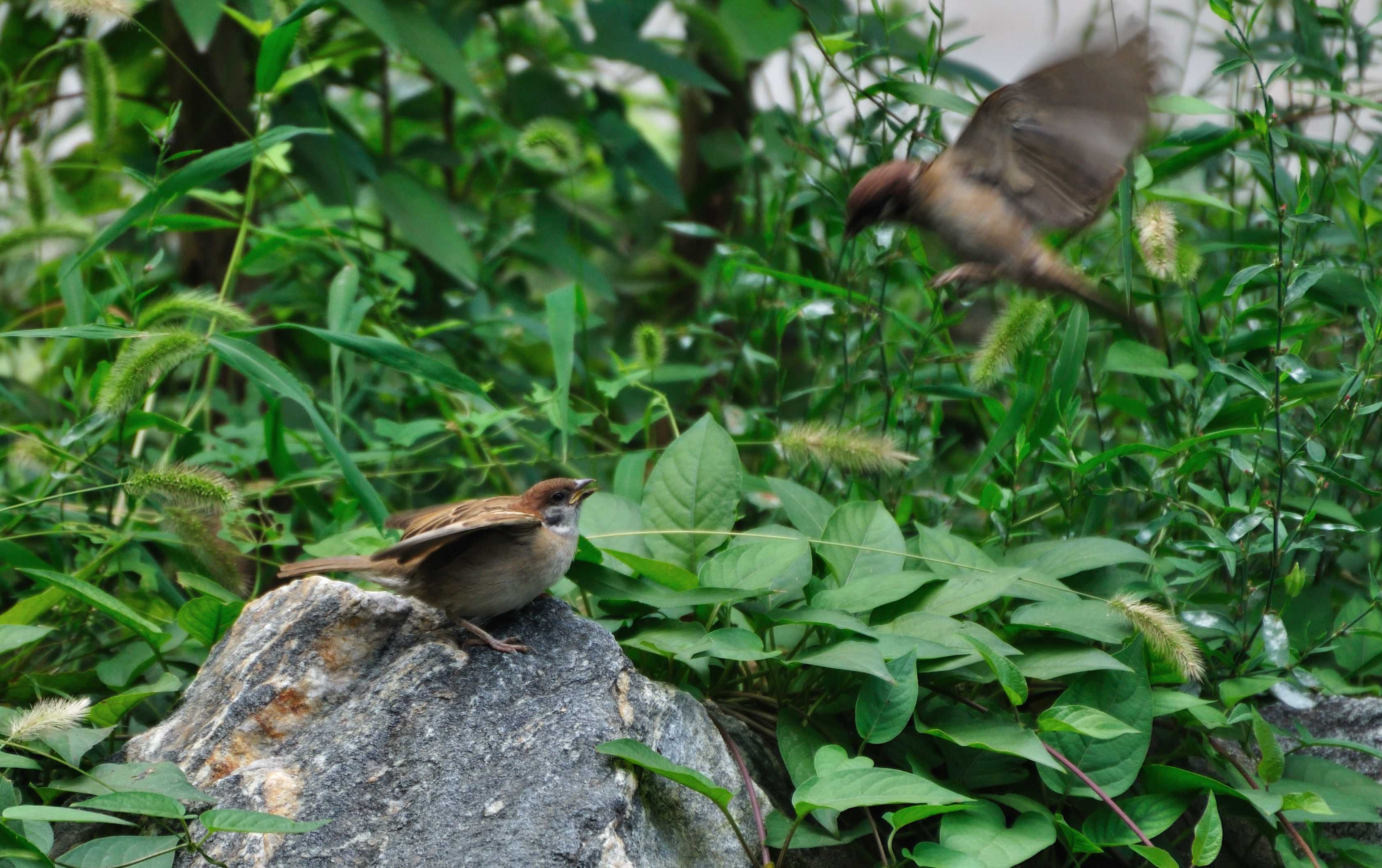 20110828_113058_.jpg