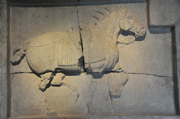 DSC_3341.JPG