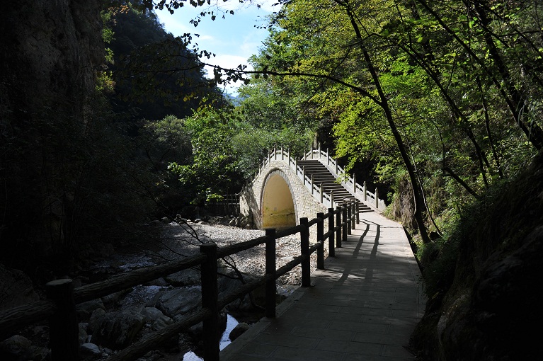 DSC_1178.JPG