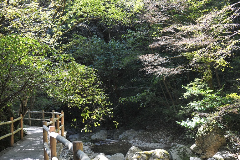 DSC_1321.JPG