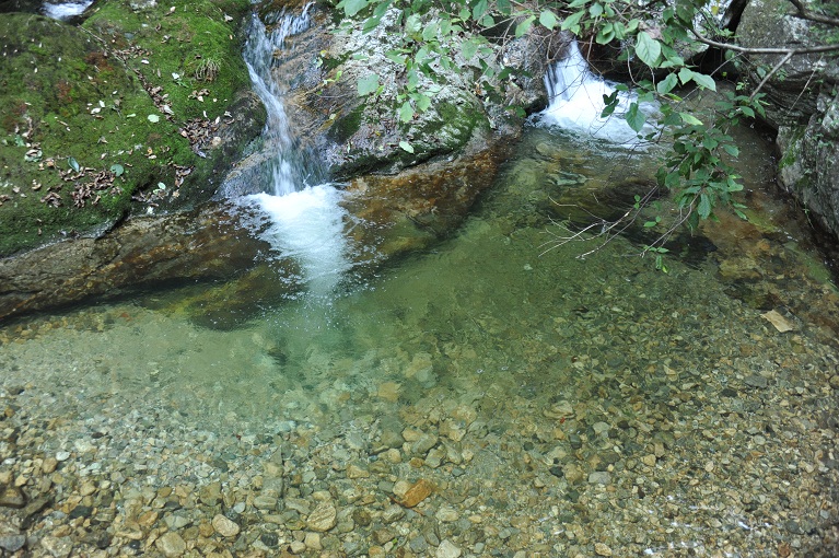 DSC_1395.JPG