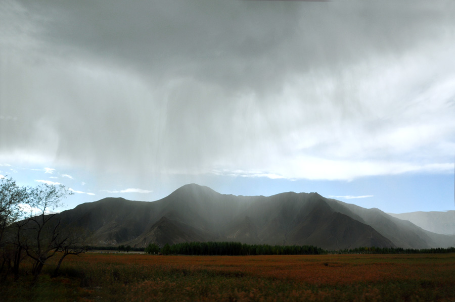 DSC_0296.jpg