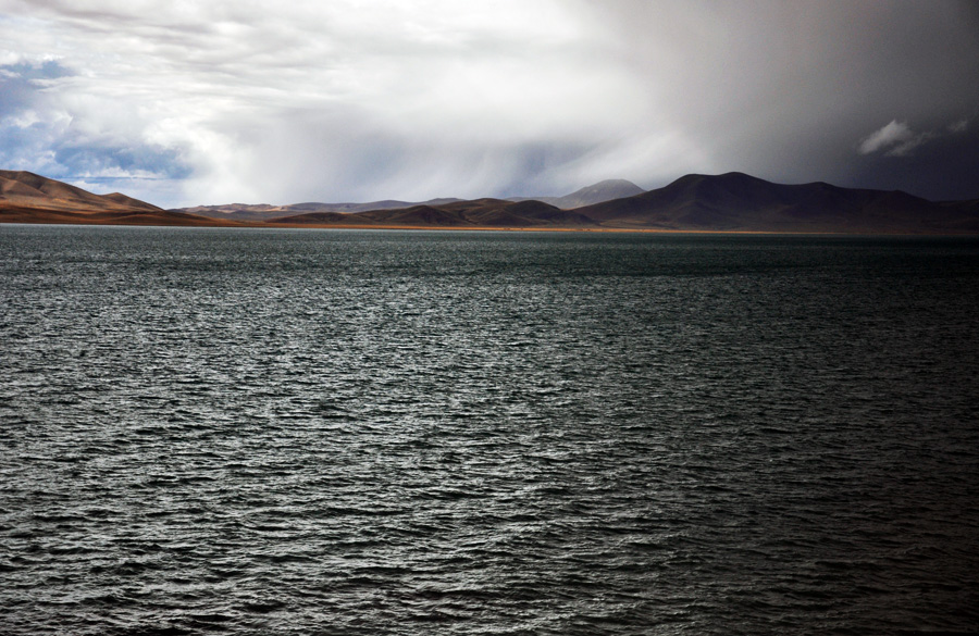 DSC_0864.jpg
