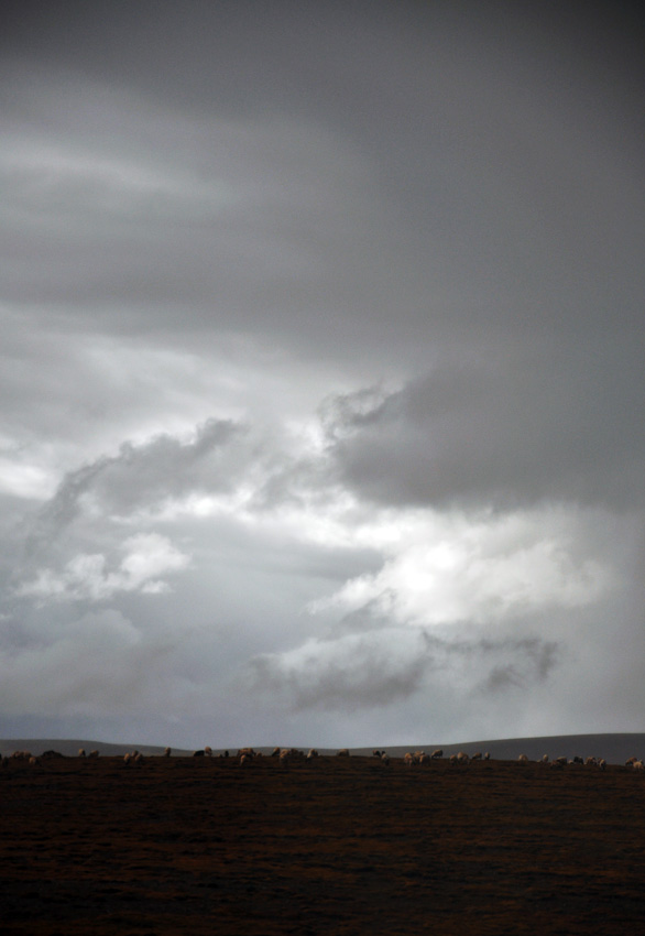 DSC_0872.jpg