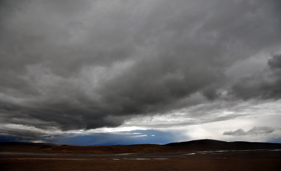 DSC_0877.jpg