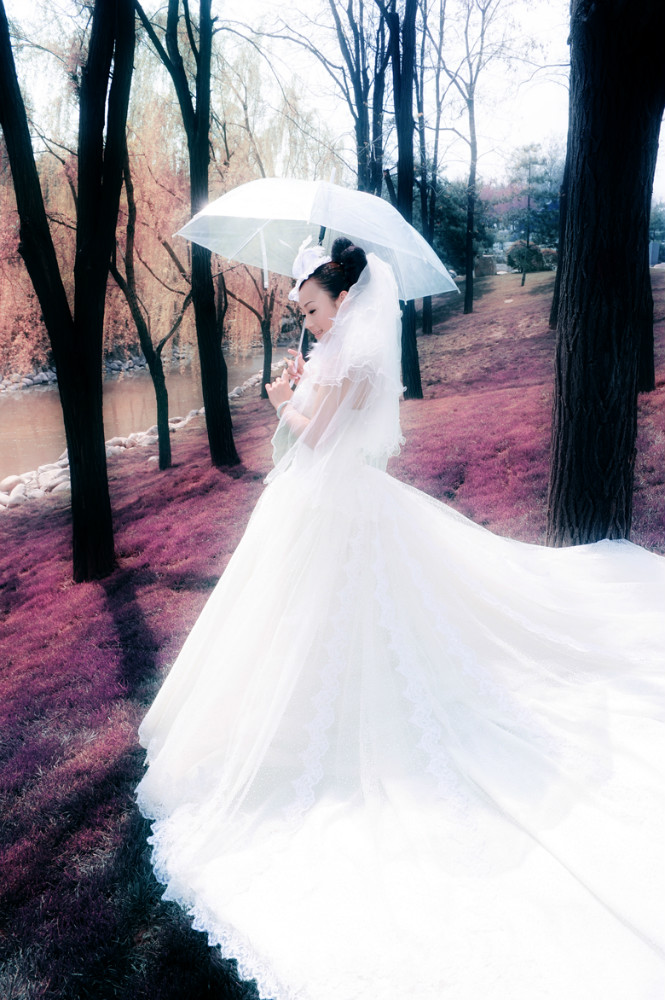 DSC_3013_meitu_8.jpg