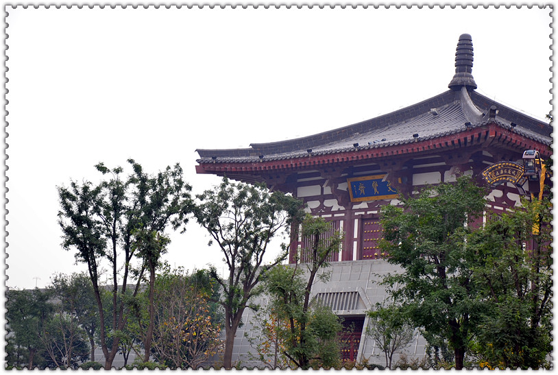 DSC_0042_副本.jpg