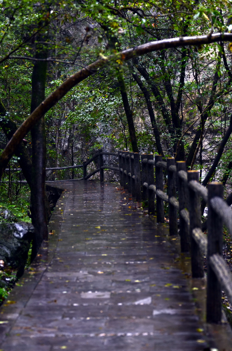 DSC_0296_调整大小.jpg