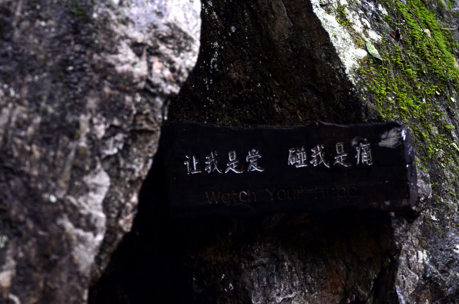 DSC_0044_调整大小.jpg