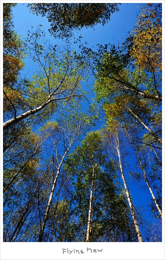DSC_8112.JPG