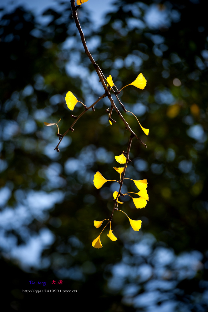 _DSC95761.jpg