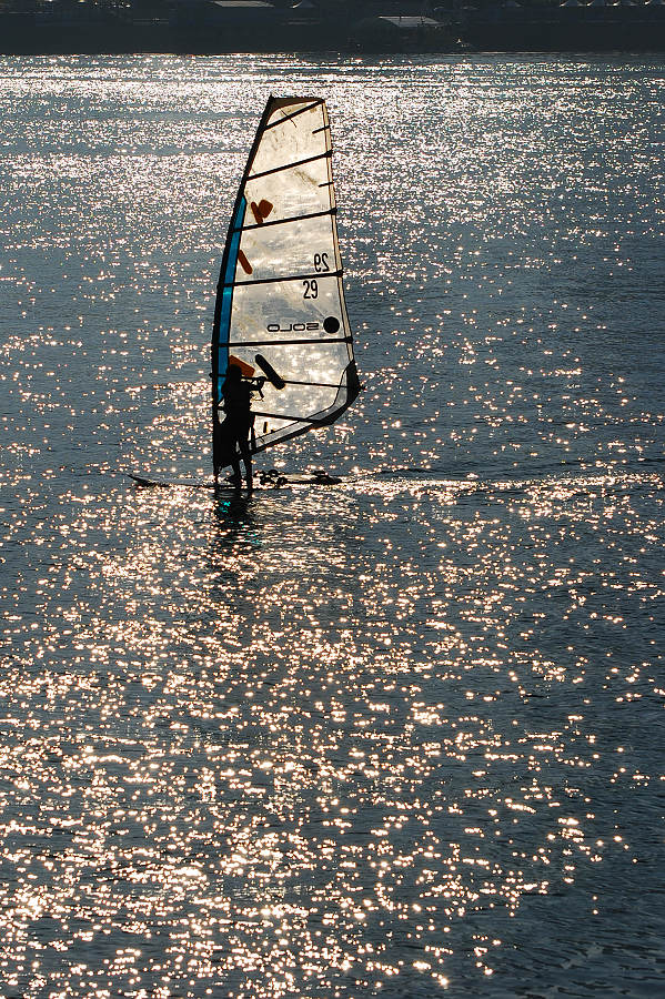 DSC_3662.jpg