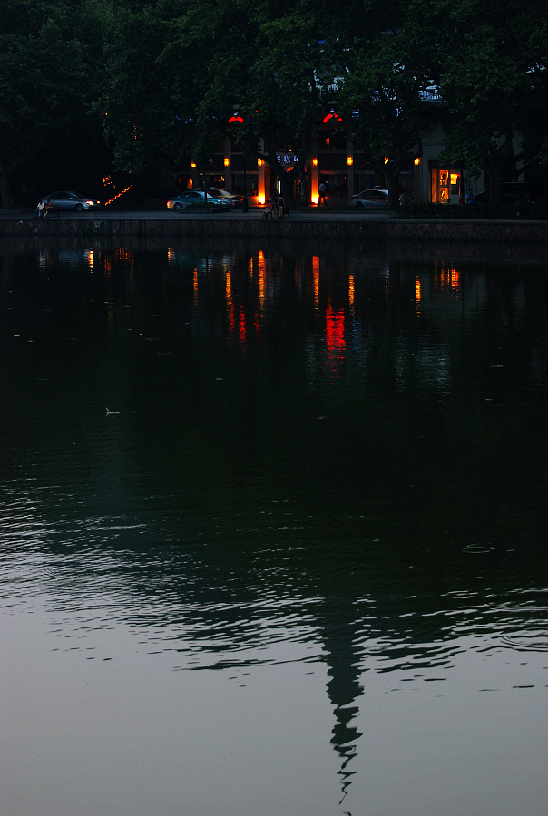 DSC_5478.jpg