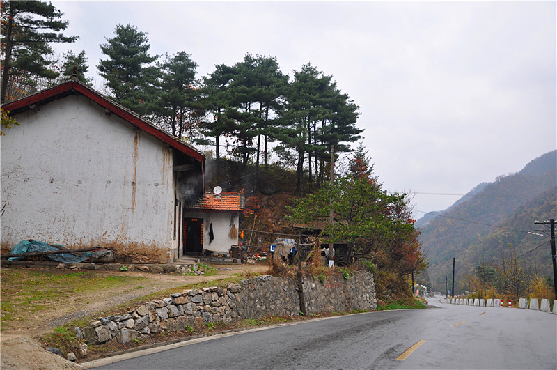 DSC_0009_副本.jpg
