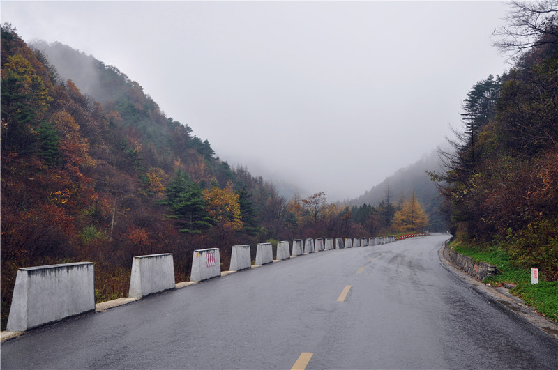 DSC_0011_副本.jpg
