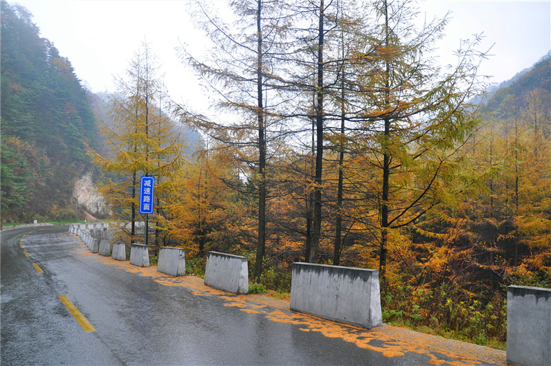DSC_0022_副本.jpg