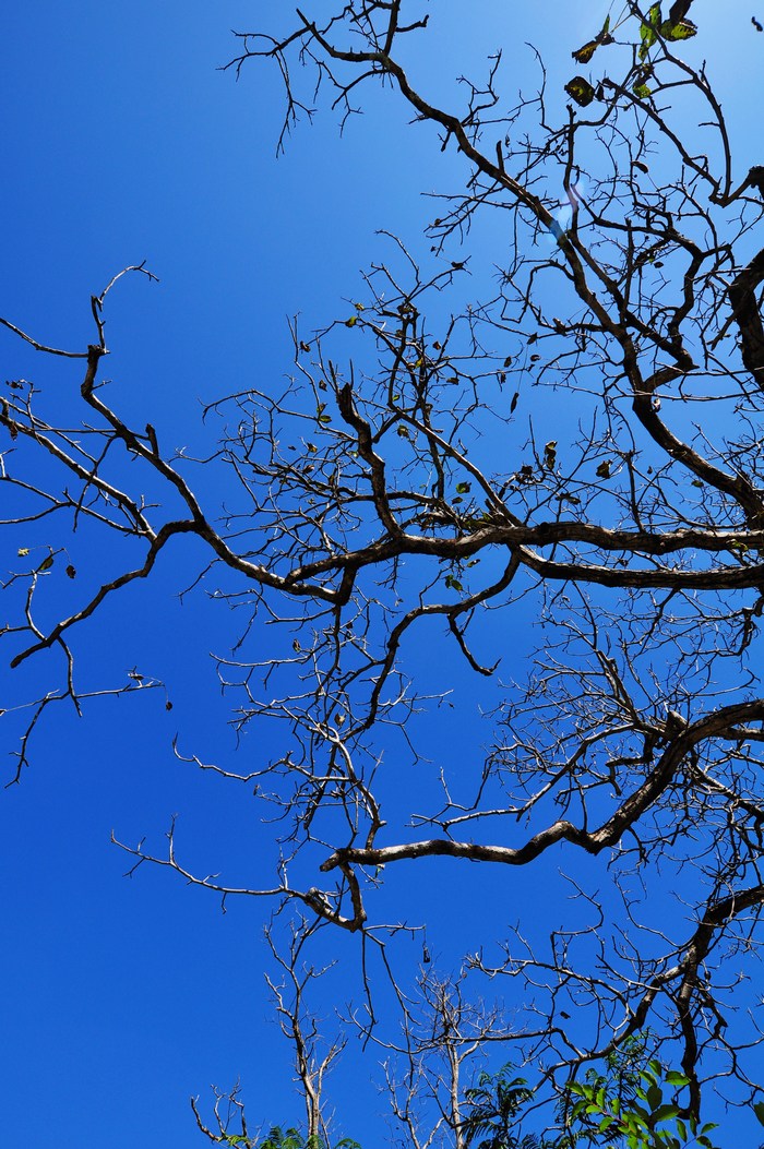 DSC_0024.jpg