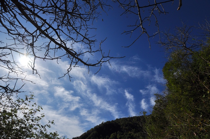 DSC_0032.jpg